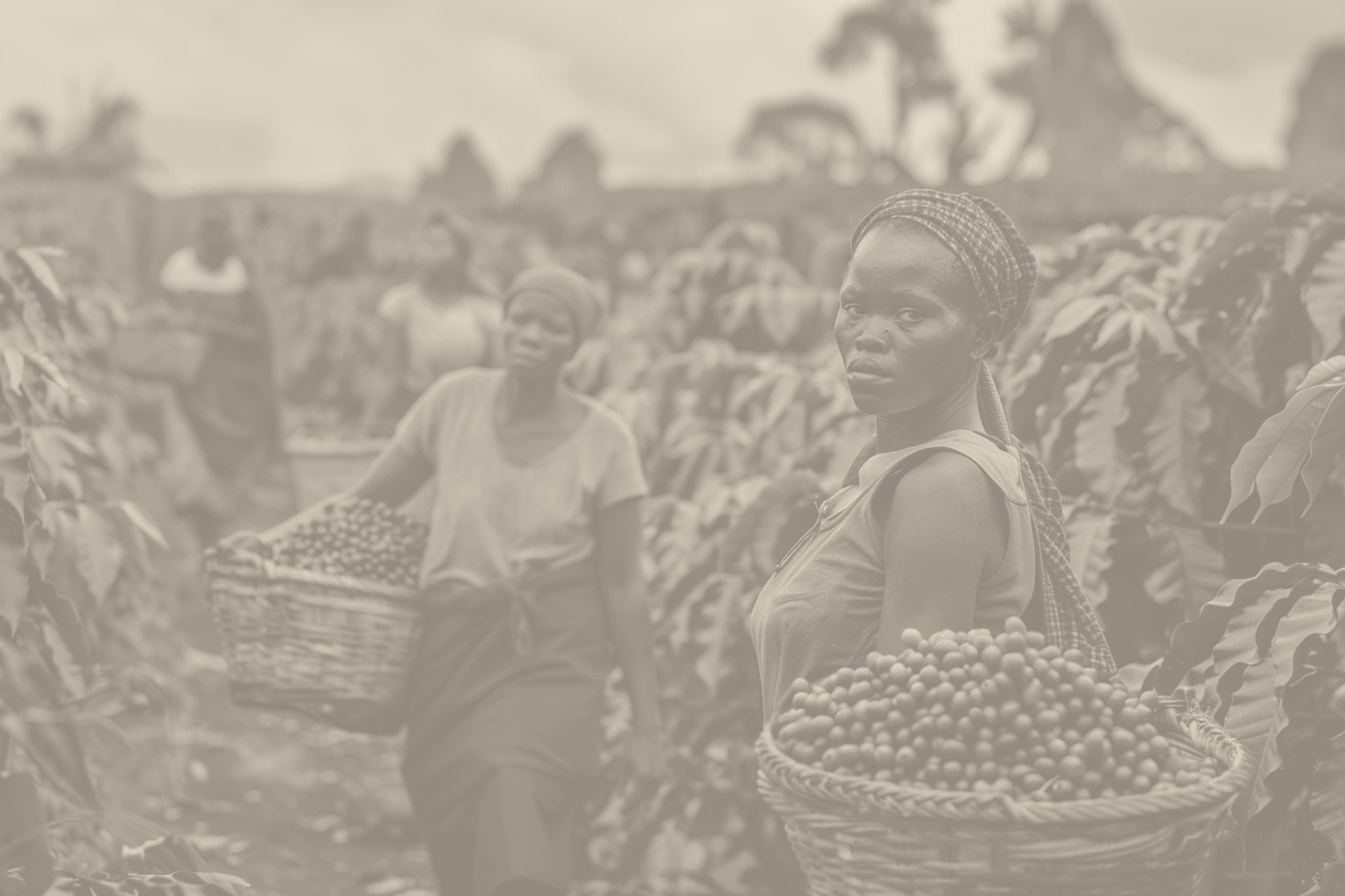 East African farmers with harvest